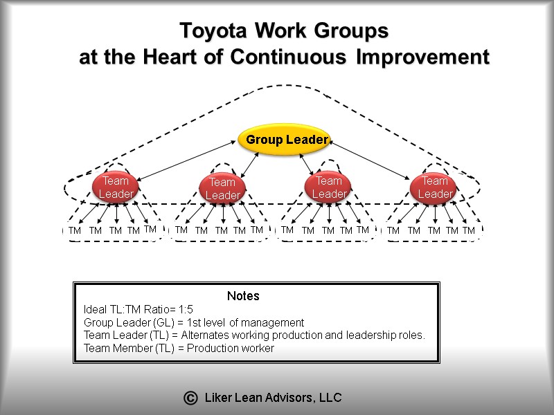Ideal TL:TM Ratio= 1:5 Group Leader (GL) = 1st level of management Team Leader